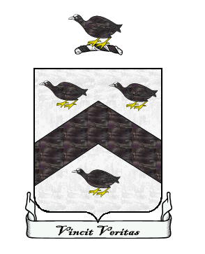 Coote.jpg